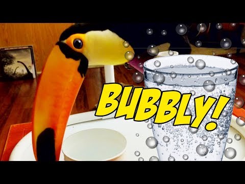 Toucan Tries SPARKLING WATER for the First Time!!