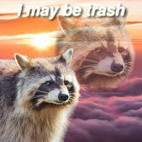i may be trash.jpeg