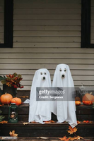 gettyimages-1049884930-612x612.jpg