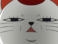 full - 2026-01-02T233426.783.png