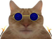 full (55).png