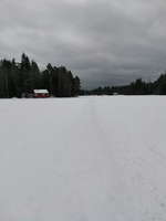 IMG_20260221_105737.jpg