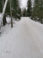 IMG_20260221_125230.jpg