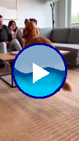 ed5189f077155bb7.mp4