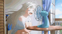 13-8b56f.gif
