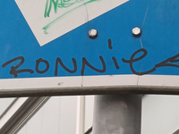 ronnie.jpg