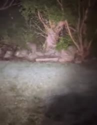 1766011146513.mp4