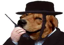 full - 2026-04-19T110416.442.png