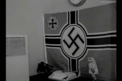 The altar.mp4