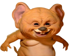 full - 2026-05-10T120028.445.png