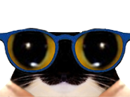 17775652696536223.png