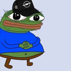 1779020768352166786889525202237.jpg