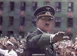 full - 2026-05-31T020521.051.gif