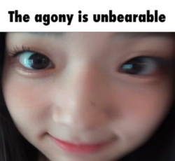 e90e5d45ddba3f25.png