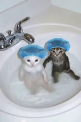 1778484322018393.webm