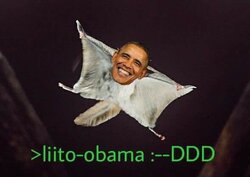liito-obama.jpg