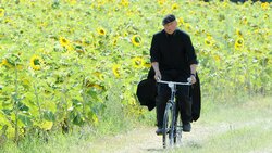 don-matteo-sunflowers.jpg