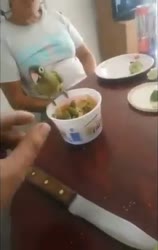 WEBM Poster (@webmposter)_ _For the Latinx anons_ _ bird.trom.tf.mp4
