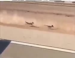 xMjRhwqMLbBmwzow.mp4