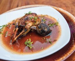 Ripening-Woodcock-3.jpg