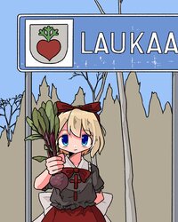 laukaa.jpg