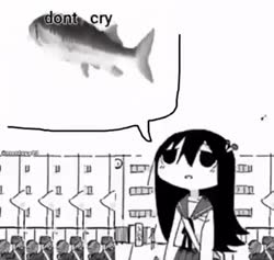 shimeji fish.mp4