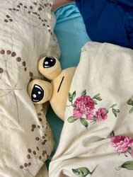 IMG_7123.jpeg