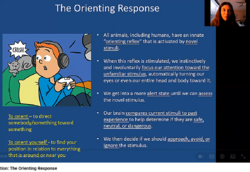 orienting_response.png