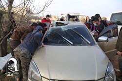 0219d71d3c486e27.jpg