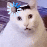 9f72d9a597297316.gif