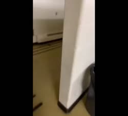 1719796185194449.webm