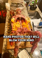 kuva.png
