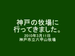ごく普通の動画.mp4