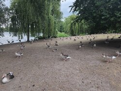IMG_20260604_144627_900.jpg