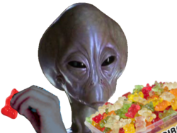 full - 2026-05-29T015232.344.png