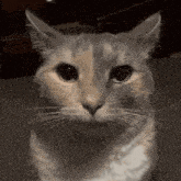 1000yardstarekot.gif