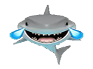 1780655239824196138837822677982.png