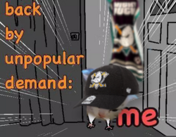 Kisu_unpopular_ducks.png