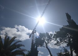 _20260607_121738.JPG