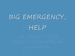 8cdaf89df5511595.mp4