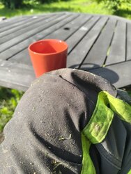 IMG_20260608_095426671.jpg