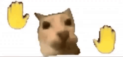 dance kot.gif