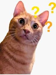 catasking.jpeg