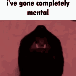 mental-cat-4292487592.gif