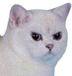 angrykot.png