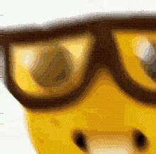 IMG_8641.gif