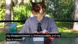 disappointedme.png