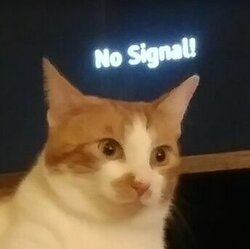 Kissa no signal.jpg