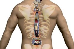 Backbone of Yli.jpg