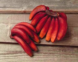 red-banana2.jpg